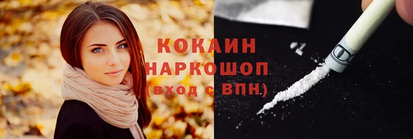 мдпв Сафоново