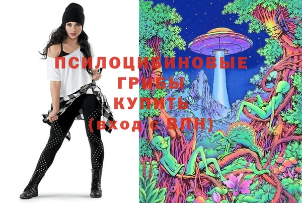 spice Алексин