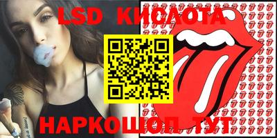 шишки Краснодар