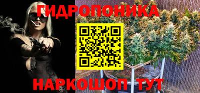 шишки Краснодар