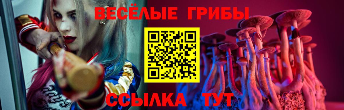 Котельники  Псилоцибиновые грибы GOLDEN TEACHER  Вход с VPN  Псилоцибиновые грибы Psilocybe 